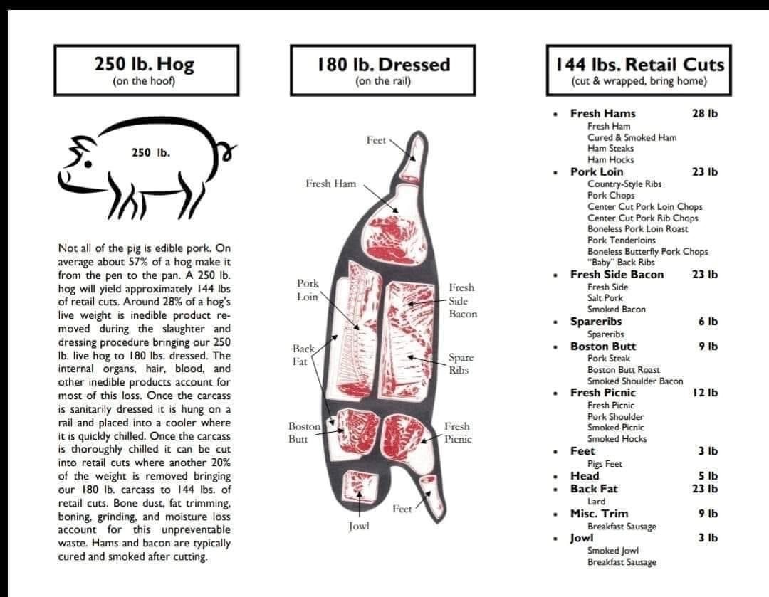 pork breakout